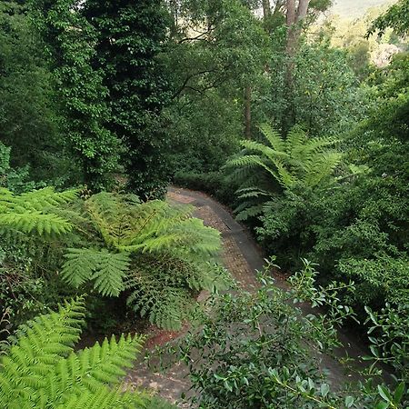 فيلا Risehill House Kalorama المظهر الخارجي الصورة